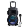 Parlante ARGOM Microfono 2100W USB ARG-SP-4078BK