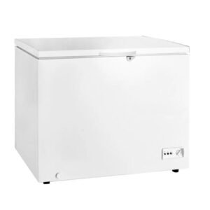Congelador Challenger Horizontal 152 Litros CH-226 Blanco