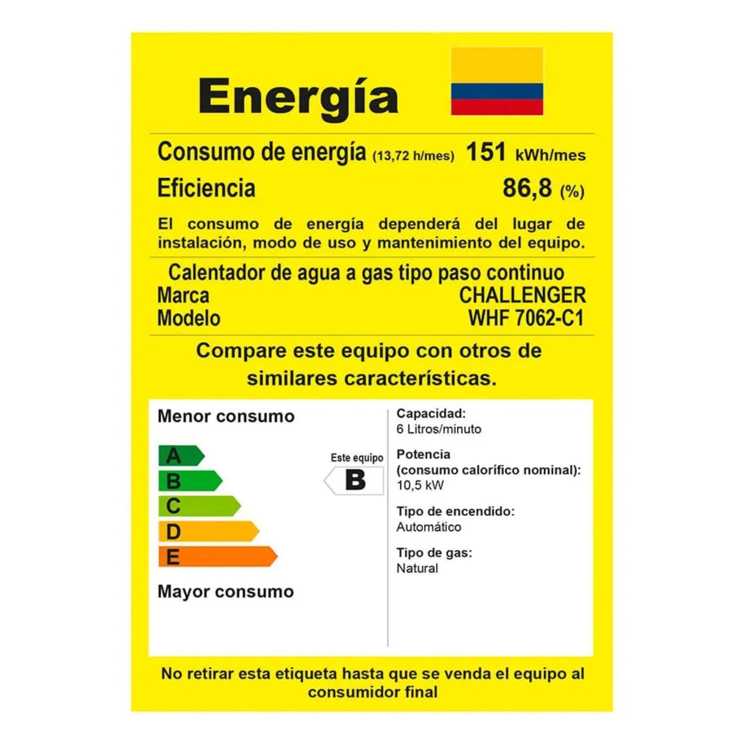 Calentador de Agua GN 6Lt 120V Tiro Forzado CHALLENGER 7062 - Image 9